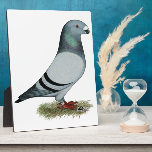 Show Racer Concept Plaque (Side)