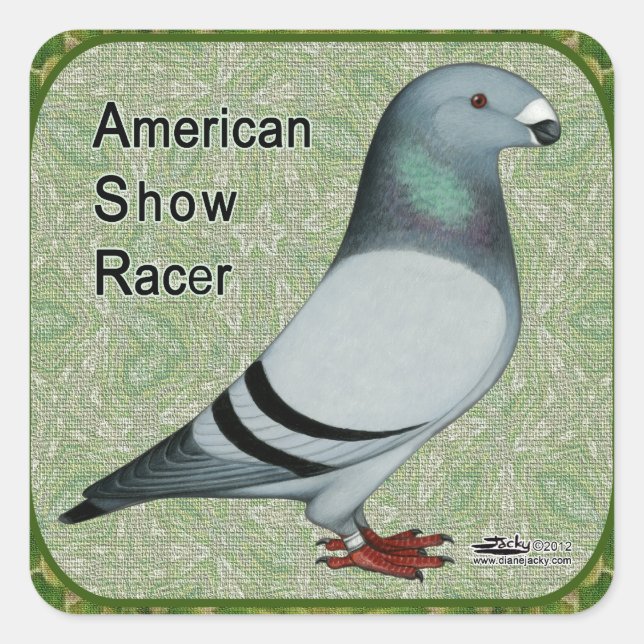 Show Racer Framed Square Sticker (Front)
