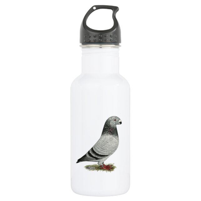 Show Racer Grizzle 532 Ml Water Bottle (Front)
