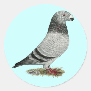 Show Racer Grizzle Classic Round Sticker