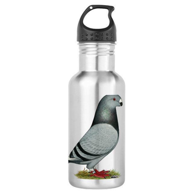 Show Racer Mismark 710 Ml Water Bottle (Front)