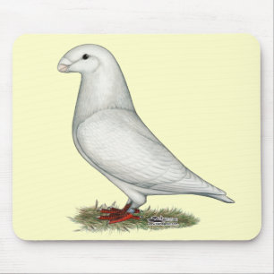 Show Racer White Mouse Pad