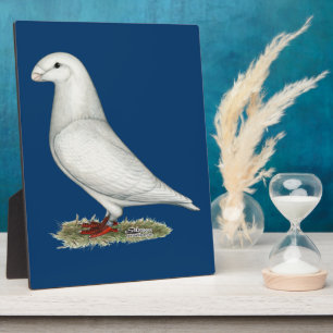 Show Racer White Plaque