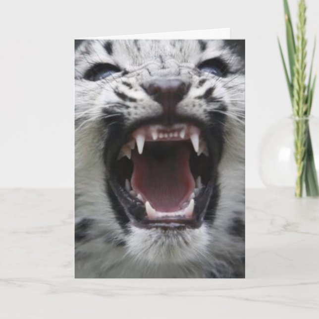 show you! card (Front)