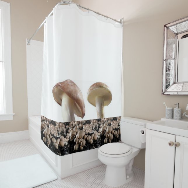 Shower Curtain (In Situ)