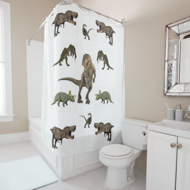 Shower Curtain (In Situ)