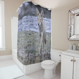 Shower Curtain Coyote