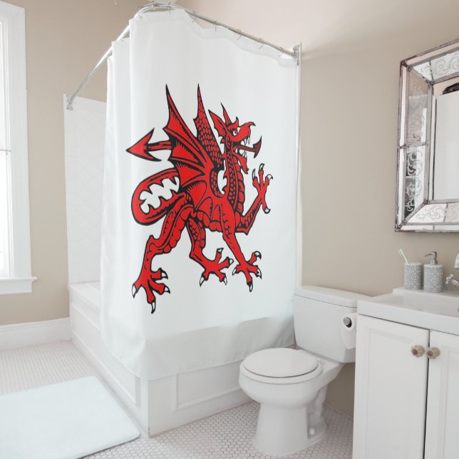 Shower curtain Dragon (In Situ)