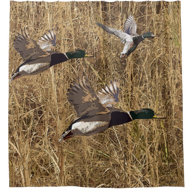 Shower Curtain Mallard Ducks Flying Over Marsh (Front)