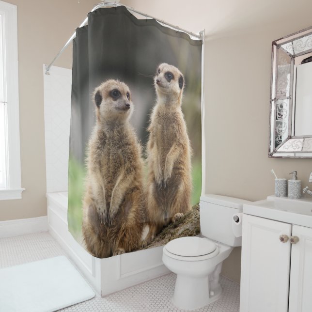 Shower Curtain Meerkat (In Situ)