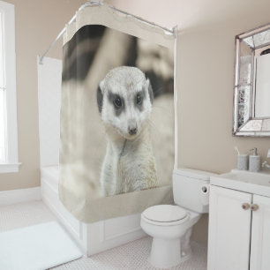 Shower Curtain Meerkat