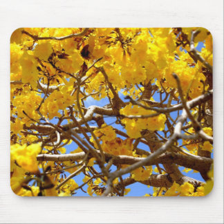 Shower Of Gold Mouse Pad