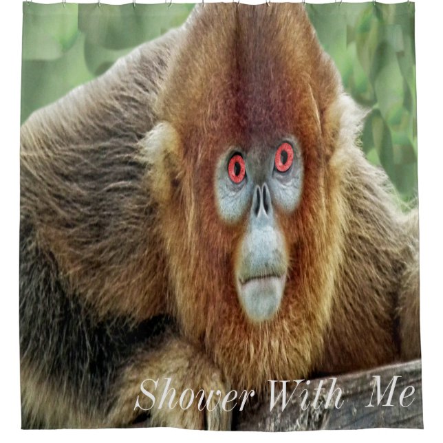 Shower With Me Monkey Shower Curtain (Front)