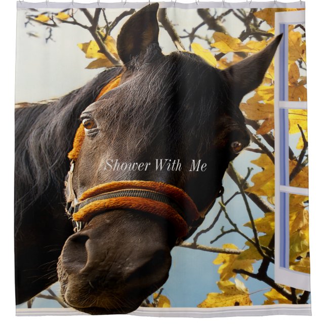 Shower With Me Quarter Horse Curtain (Front)