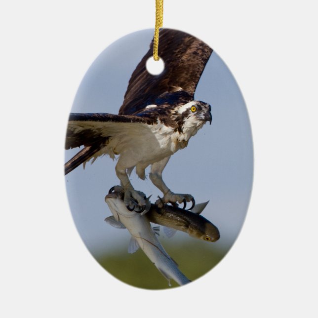 Showing Off Ceramic Ornament (Front)