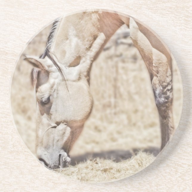 Showing Some Stripes - Sandstone Coasters (Front)