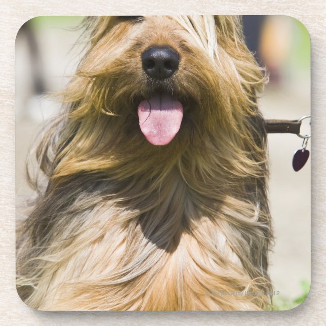 showing tongue, long hair, portrait coaster (Front)