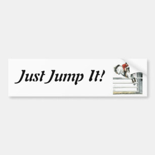 Showjumping Grey Horse Over Fences Bumper Sticker