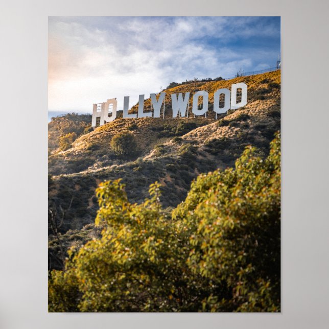 Shows Drawing in Hollywood panel Poster (Front)