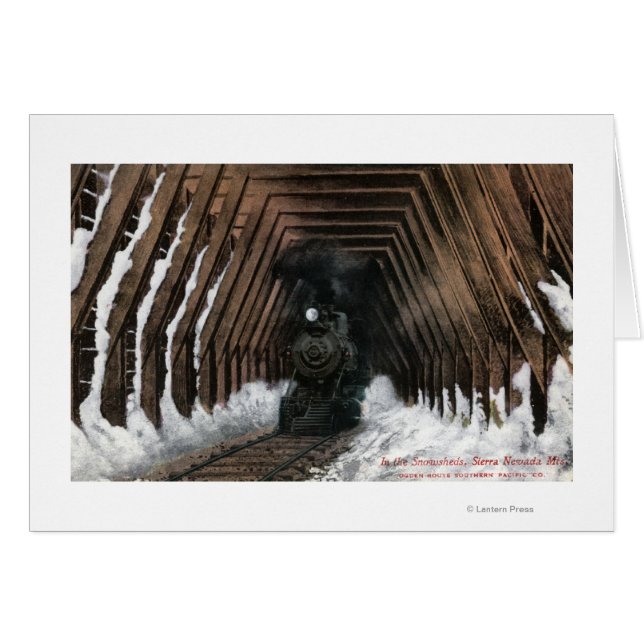 Showsheds Railroad (Front Horizontal)