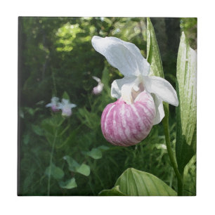 Showy Lady's Slipper Ceramic Tile