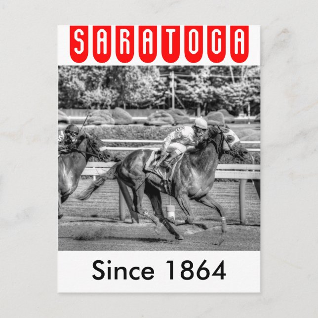 Shrewd One by Smarty Jones Postcard (Front)