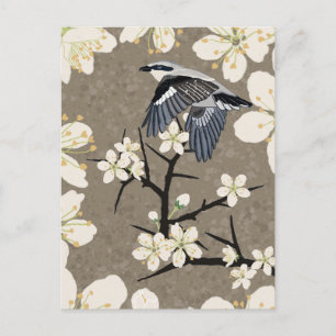 Shrike Holiday Postcard