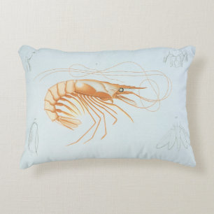 Shrimp or Prawn, Vintage Marine Life Ocean Animals Decorative Cushion