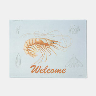 Shrimp or Prawn, Vintage Marine Life Ocean Animals Doormat