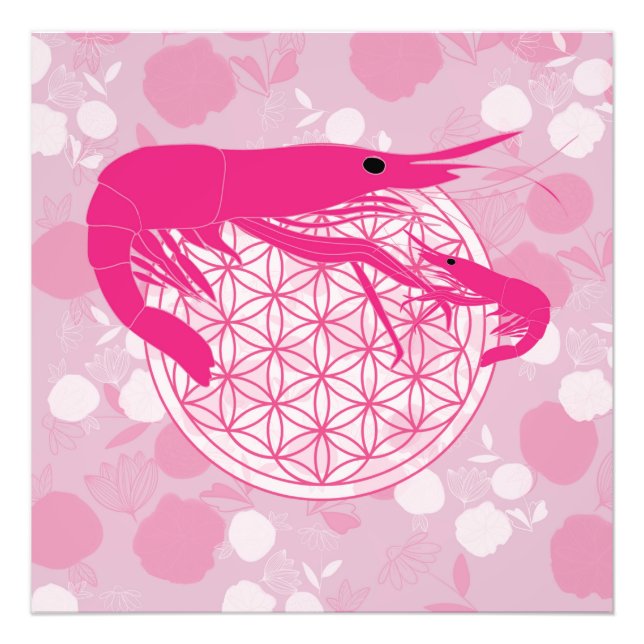 Shrimp Photo Print (Front)