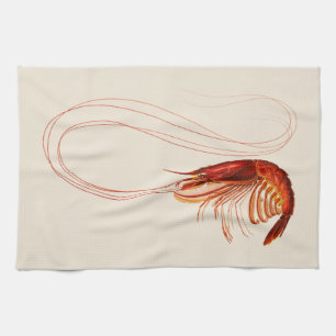 Shrimp - Plesiopenaius Edwardsianus Tea Towel