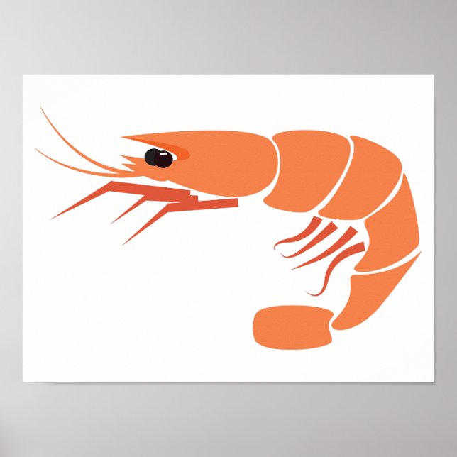 Shrimp Poster (Front)