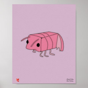 Shrimp Poster Limited