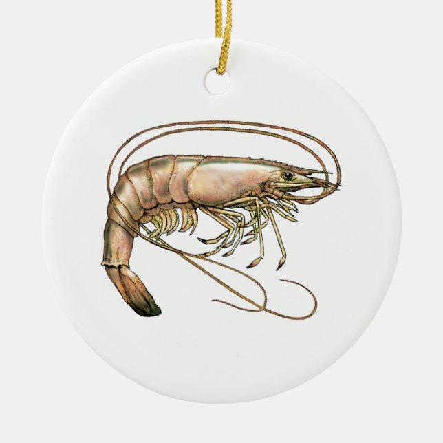 Shrimp - Prawn Colour Illustration Ceramic Ornament (Front)