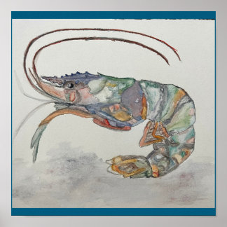shrimp print by C. JONES