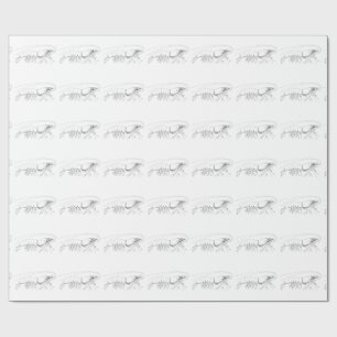 Shrimp Wrapping Paper