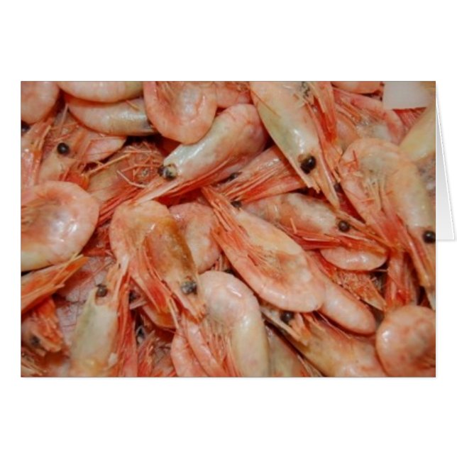 shrimps (Front Horizontal)