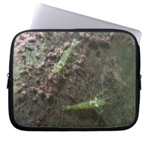 Shrimps Neoprene Laptop Sleeve 10 inch