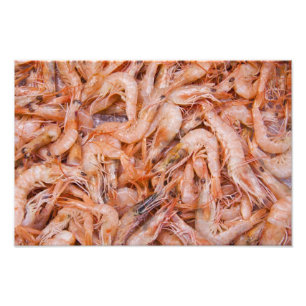 Shrimps Photo Print
