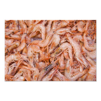 Shrimps Photo Print