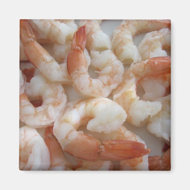 Shrimpy Magnet (Front)