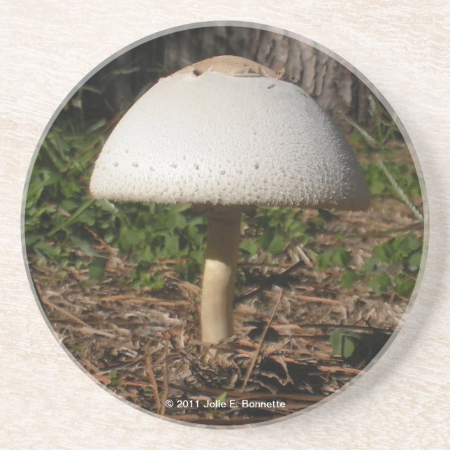 Shroom 0659 Coaster (Front)