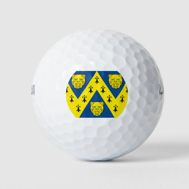 Shropshire county flag golf balls (Front)