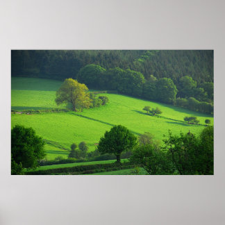 Shropshire Hills Poster