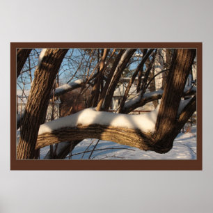 Shrouded Branch Poster