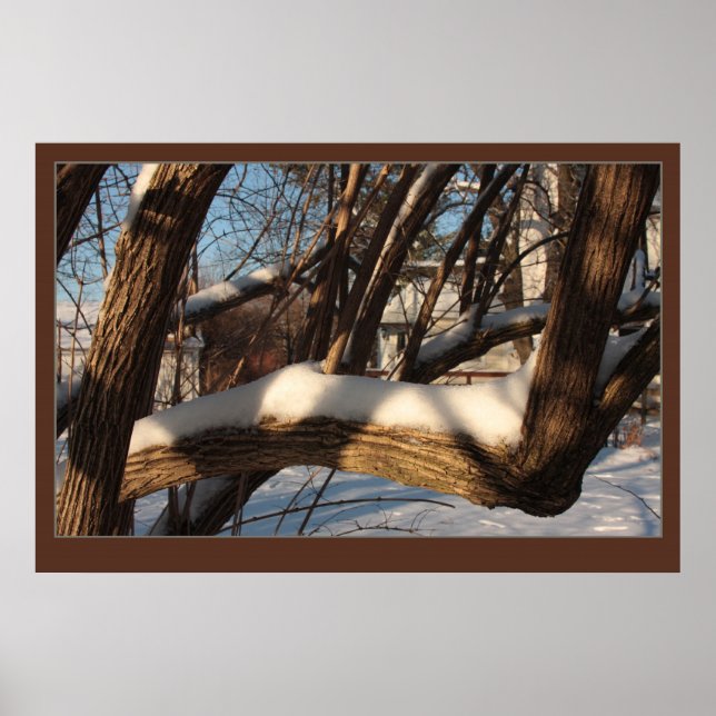 Shrouded Branch Poster (Front)