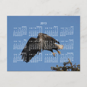 Shrouded by Wings; 2013 Calendar Holiday Postcard