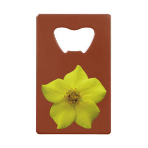 Shrubby Cinquefoil #1