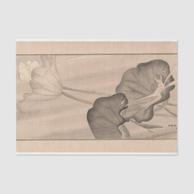 Shūbi Gakan, Pl.13 by Nanbara Sakujiro Tissue Paper (Front)