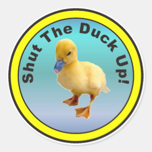 Shut The Duck Up Sticker